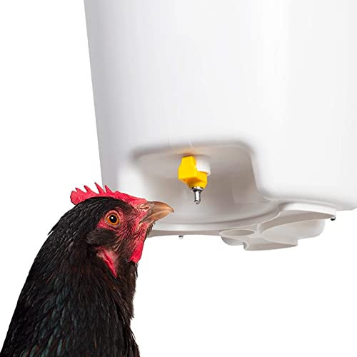 FINCA CASAREJO Abreuvoir à Suspendre pour Poules - Abreuvoir avec 3 tétines - 12 litres - Kit de Suspension fourni