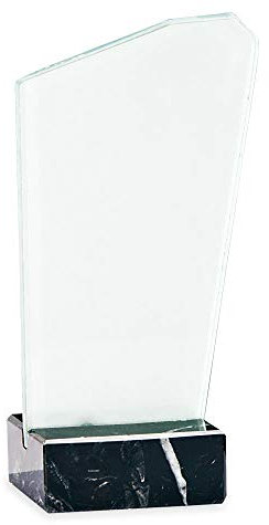 Trofeos Martínez - Trofeo de metacrilato Impreso a Color Personalizable con Base mármol. (16cm)