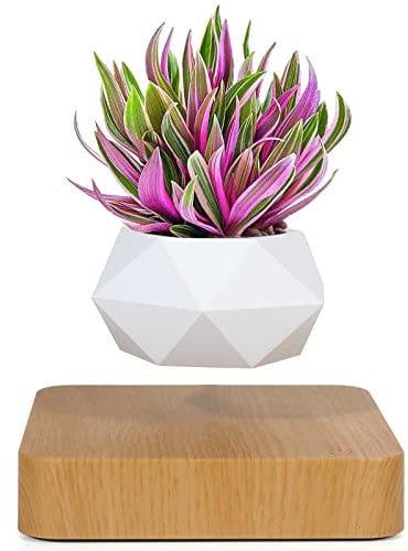 Schwebender Bonsaitopf, rotierender Blumentopf, magnetische Schwebeaufhängung, schwimmender Topf, Topfpflanze, Schreibtischdekoration in Blumentöpfen und Pflanzgefäßen von Haus Garten (helle Farbe)