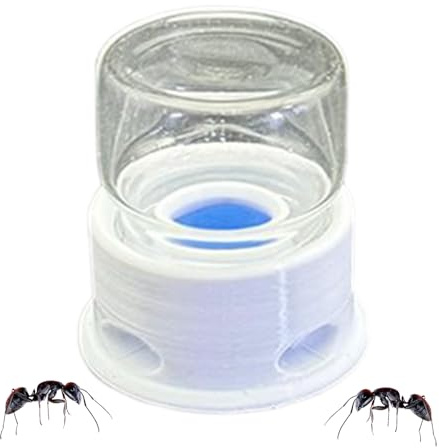 Transparente Ameisen-Futterstation Ertrinkungssicher Transparent
