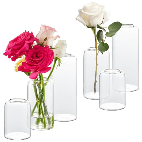 KAMJUNTAR 6 Stück Glas Vasen Transparente Blumenvase Budenvasen Glasvasen Zylinder Vasen Set Tischdeko für Hochzeiten, Party, Tisch Dekor