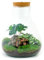 Terrarium DIY Kit - Sam Coffea with Light - Bottle Garden - ↑ 30 cm