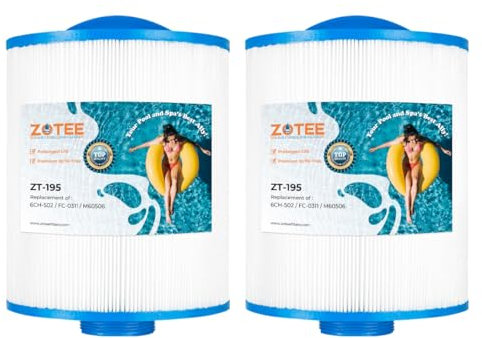 ZOTEE Lot de 2 filtres pour Spa Artesian Spas, Unicel 6CH-502, Filbur FC-0311, PAS50SV-F2M, PAS50, Master Deluxe M60506, Excel XLS-604