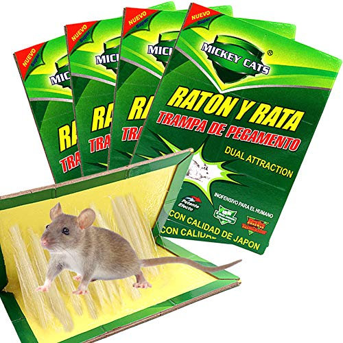 Panngu 4 Unidades Trampa Adhesiva para Ratas, Profesional Trampa para Ratónes, fácil de Usar ratón Adhesivas para ratoncillos y Rata (31cm x 21cm)