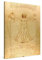 PICANOVA – Leonardo da Vinci – Vitruvian Man 75x100cm – Bild auf Leinwand – Premium Kunstdruck Auf 2cm Holz-Keilrahmen Für Schlaf- Und Wohnzimmer – Klassische Kunst