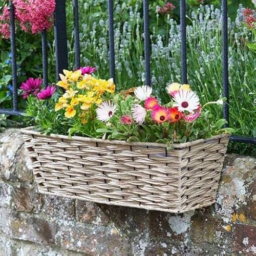 Online Garden Centre Bari Pot de Fleurs en Imitation rotin Sable 19 cm