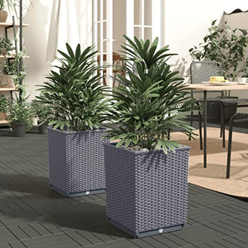ZEYUAN Jardinières 2 pcs Gris foncé 30x30x37 cm polypropylène,Jardiniere sur Pieds,Jardiniere Terrasse