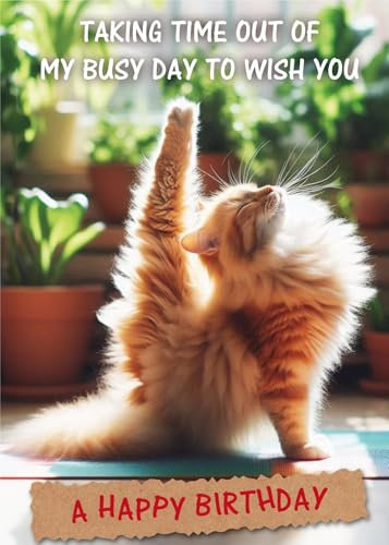 Gooji 12,7 x 17,8 cm Yoga-Katz