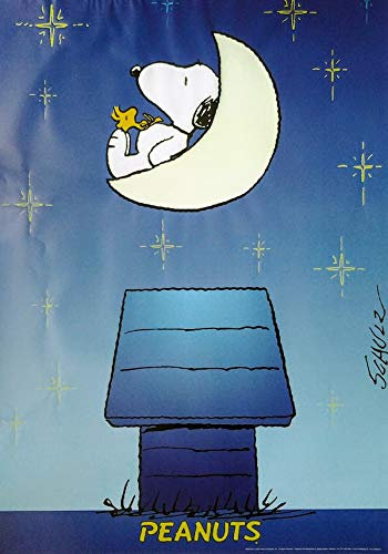 Peanuts, Snoopy & Woodstock: Moon | US Import Filmplakat, Poster [68 x 95 cm]
