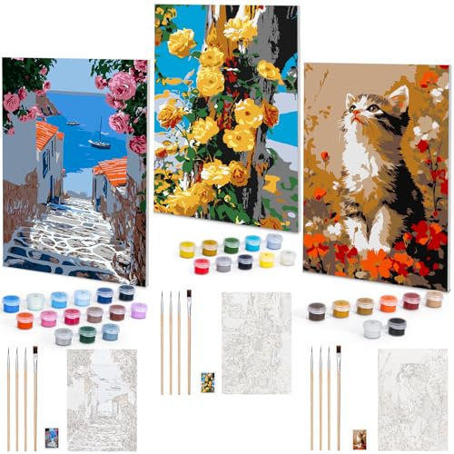 Euqvunn Pack de 3 Pintar por Numeros para Adultos con Marco, Kit de Pintura por Numeros DIY en Lienzo de 20x30 cm con Pinceles y Pinturas para Principiantes, Arte al Óleo para Decoración del Hogar
