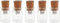 Hsthe Sea 5 Pack 4GB Cute Flash Drive USB 2.0 Tarros de Almacenamiento Caja única Tarro de Cristal Botella y Corcho Memory Stick Pen Drive Regalo de Boda Electrónica de Lujo