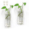 Bunhut Lot de 2 pots de fleurs muraux pour plantes d'intérieur, terrarium, pots muraux en verre pour arrangements floraux, support de plantes suspendu, vase mural, pots de fleurs muraux