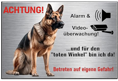 Schild Videoüberwachung und Hund - Hundeschild Deutsche Schäferhund Alarm Warnschild Kamera - Aluverbund Edelstahl Optik oder Weiß - Haustür, Grundstück, Eingang (Aluverbund Silber, 22,5x15 cm)