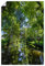 ARTLAND Wanddeko Poster & Kunstdrucke Wandposter 80x120 cm Hochformat Landschaft Natur Wald Bäume Wasser Fluss Kanal Sonnenlicht Spreewald U3NZ
