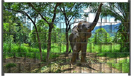 Wallario Zaun Sichtschutz Windschutz für EIN- und Doppelstabmattenzäune in der Größe Breite 2,50m x Höhe 1,40m, Motiv: Junger Elefant im Dschungel