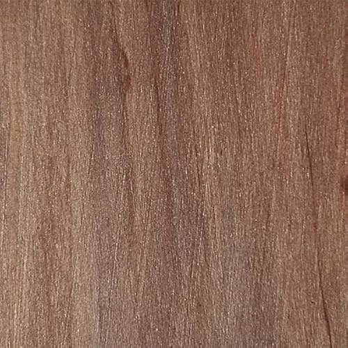 WooDeeDoo Water Based Wood Stain | Wood Dye | Ready to Use | Environmentally Friendly | Solvent Free | Odour Free | Tester Pot 10 ml | Beige