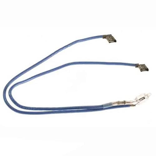 Kontrollleuchte und Sicherung Dampfgarer SS-982584 SEB Dampfgarer SS-982584 SEB