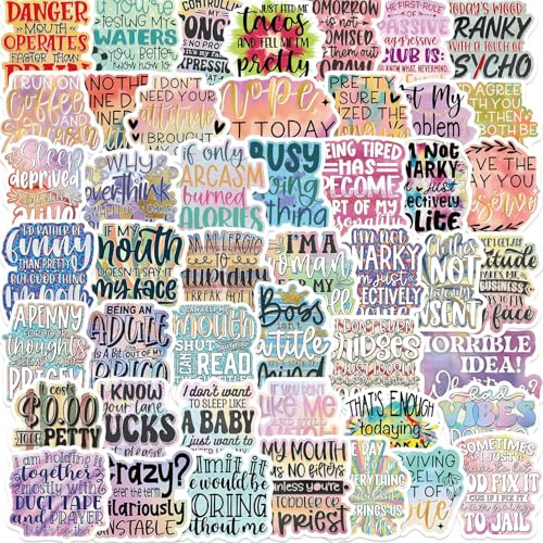 50 Stück Ironisch Aufkleber Auto Laptop Telefon Gitarre Skateboard Motorrad Fahrrad Sarcastic Stickers Set Vinyl Wasserdicht Aesthetic Aufkleber für Jugendliche Kinder Erwachsene