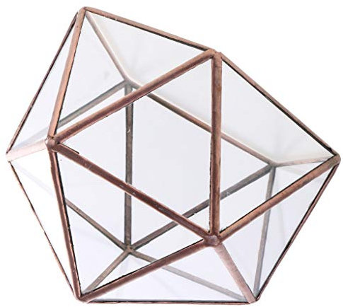 Inzopo Terrarium moderne artistique en verre géométrique pour plantes succulentes – Cuivre, 17 x 17 x 17 cm