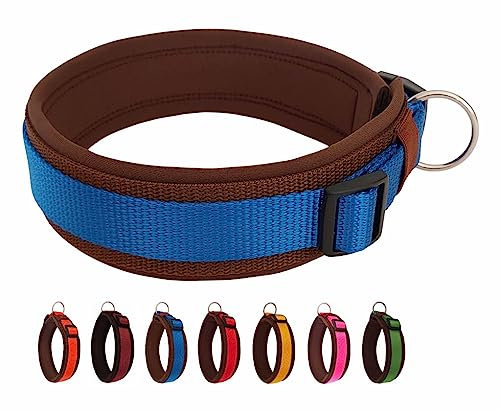 BUDDYPACK-Halsband Extra-Breit & Weich mit Neopren-Polster für Kleine und Große Hunde (Blau-Braun, L)