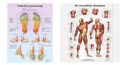3B Scientific - Lehrtafel laminiert - Fußreflexzonenmassage & Muskulatur, 50 x 67 cm, Wandposter, Klassenzimmer