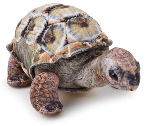 Zappi Co - Kinder Realistisches Weiches Kuscheliges Plüschtier - Perfekte Spielgefährten für Kinder mit Lebensechtem Detail, vorgestellt auf TikTok (26cm Länge) (Aldabra-Riesenschildkröte)