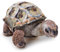 Zappi Co - Kinder Realistisches Weiches Kuscheliges Plüschtier - Perfekte Spielgefährten für Kinder mit Lebensechtem Detail, vorgestellt auf TikTok (26cm Länge) (Aldabra-Riesenschildkröte)