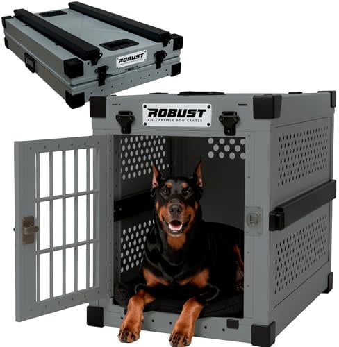 ROBUST Hundetransportbox Auto Faltbar für Alle Hunderassen – Leichte Hundebox aus Aluminium mit Verstärkten Ecken | Tragetasche Hund Kofferraum für Zuhause, Auto, Ausflug und Flugreisen (Gris, XXL)