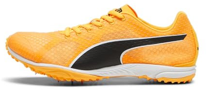 PUMA Evospeed Haraka 8 Unisex Track and Field Shoe, Sun Stream Black White, 43 EU