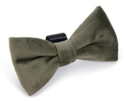 Designed by Lotte Fliege Zaza - Hundehalsband - Velvet - Grün - 9x5x1