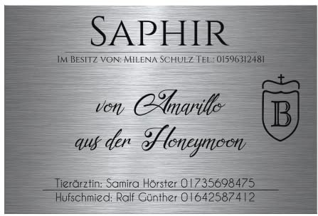CHRISCK design Pferdeschild aus Premium Edelstahl mit Gravur | Namensschild Boxenschild Stallschild wahlweise mit Bohrlöcher 30x20 cm mit Brandzeichen und Motiven Ideal für den Stall Pferdebox… (D4)