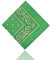 ledermodefashion 3er 6er 12 er Set Bandana Tuch versch Farben 100% Baumwolle Kopftuch Halstuch Nickituch Schal (Lime Grün)