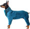 Hundemantel Winter Dick Warm, Hund Fleece-Pullover mit Beinen, Einstellbare Haustier Kapuzenpullis Rüde/Hündin Overalls für Corgi, Geeignet für Welpen Kleine Mittlere Große Hunde ( Color : Grün , Size