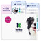 Koko Genetics - DNA-Test für Hunde Advanced (+175 Berichte über Rassen, Gesundheit und Eigenschaften) - Upgrades kostenlos
