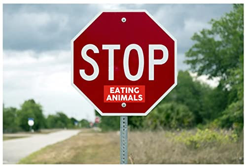 EppoBrand Vinyl-Aufkleber mit Aufschrift Stop Eating Animals Vegans Animal Lover, 21,6 x 8,9 cm, 2 Stück