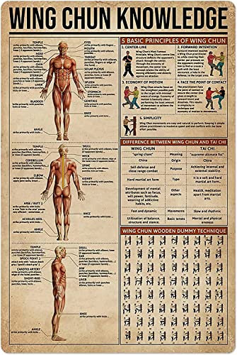 FJQWKLF Kung Fu Knowledge Metallblechschild Wing Chun Anatomie Infografik-Poster, Kampfsport, Fitnessstudio, Club, Zuhause, Schlafzimmer, Schule, Bildung, Wanddekoration, 30,5 x 40,6 cm