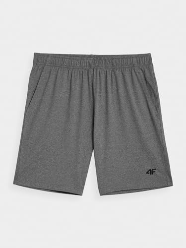 4F Herren Shorts Shorts Fnk M383