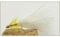 Dancer Trout Flies, 6 Pack Barbless Hooks Yellow Dancers size 10, Fly Fishing