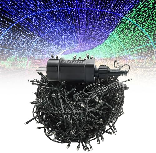 Froadp LED Lichterkette 500 LEDs Lichterketten Vorhang Außen mit Stecker IP44 Wasserdicht Weihnachtsbeleuchtung mit 8 Leuchtmodi Lampenkette für Innen Garten Hochzeit Weihnachten Party (50m, Bunt)