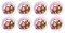 ALMACENESADAN, 5121 Lot de 8 assiettes en carton 23 cm de la licence Masha