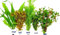 Aquariumpflanzen Set 5 XXL Bunde, Wasserpflanze, Wasserpflanzen, Dicke Bunde