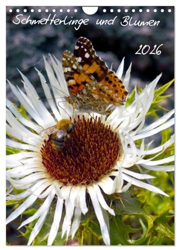 Schmetterlilnge und Blumen (Wandkalender 2026 DIN A4 hoch), CALVENDO Monatskalender: Unsere heimischen Schmetterlinge (CALVENDO Natur)