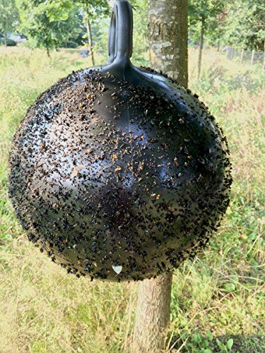 Holland Animal Care Horse Fly Trap Ball
