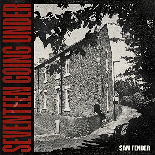 Seventeen Going Under [Vinyl LP]