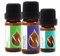 3er Set Hair Repair Ätherische BIO-Öle Basilikum (10ml) + Rosmarin (10ml) + Muskatellersalbei (5ml) | 100% Naturrein | Unverdünnt | BIO-zertifiziert | Spitzenqualität aus Familienbetrieb | Vegan