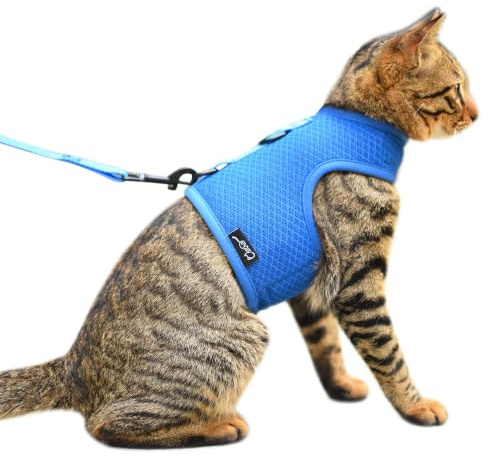 Katzengeschirr und Leine zum Spazierengehen, ausbruchsicher, atmungsaktives Netzgewebe, einfarbig, blau, Größe M, verstellbare Katzenweste, gepolstert, stilvolle Katzenweste