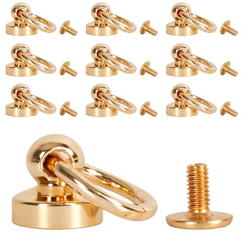 WedDecor Gold Pull Ring Screw Back Studs Brass Chicago Dome Head Rivets for DIY Leathercraft, Clothing, Bags, Footwear, Fashion Accessories, 9.5mm, 10pcs