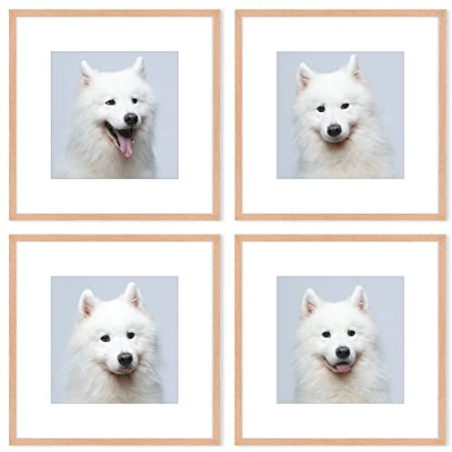 OAK Wood Square Picture Photo Frame,Compatible with 30x30cm(12x12in) without mat and 20x20cm with mat images for Wall Mounting In Living Room, Bedroom,Gallery,Set of 4