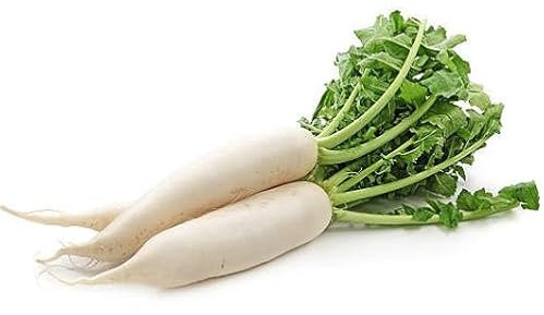 100 graines de légumes de radis blanc