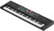 Tastatur Klavier 61 Elektretaste mit USB -Mikrofon - Klavier ideales Instrument für Anfänger und Kinder 6 Demonstrationslieder, 16 Schwarze Rhythmen